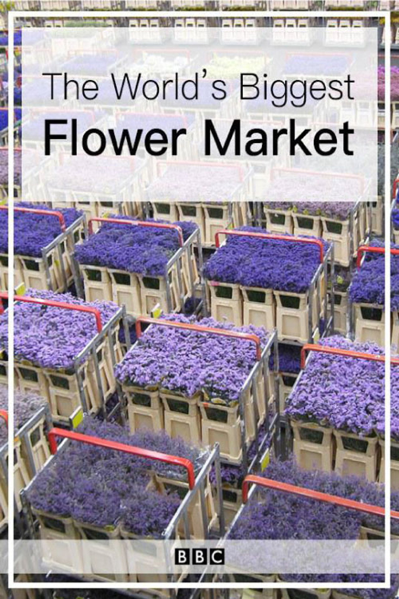 The World's Biggest Flower Market filmaffisch