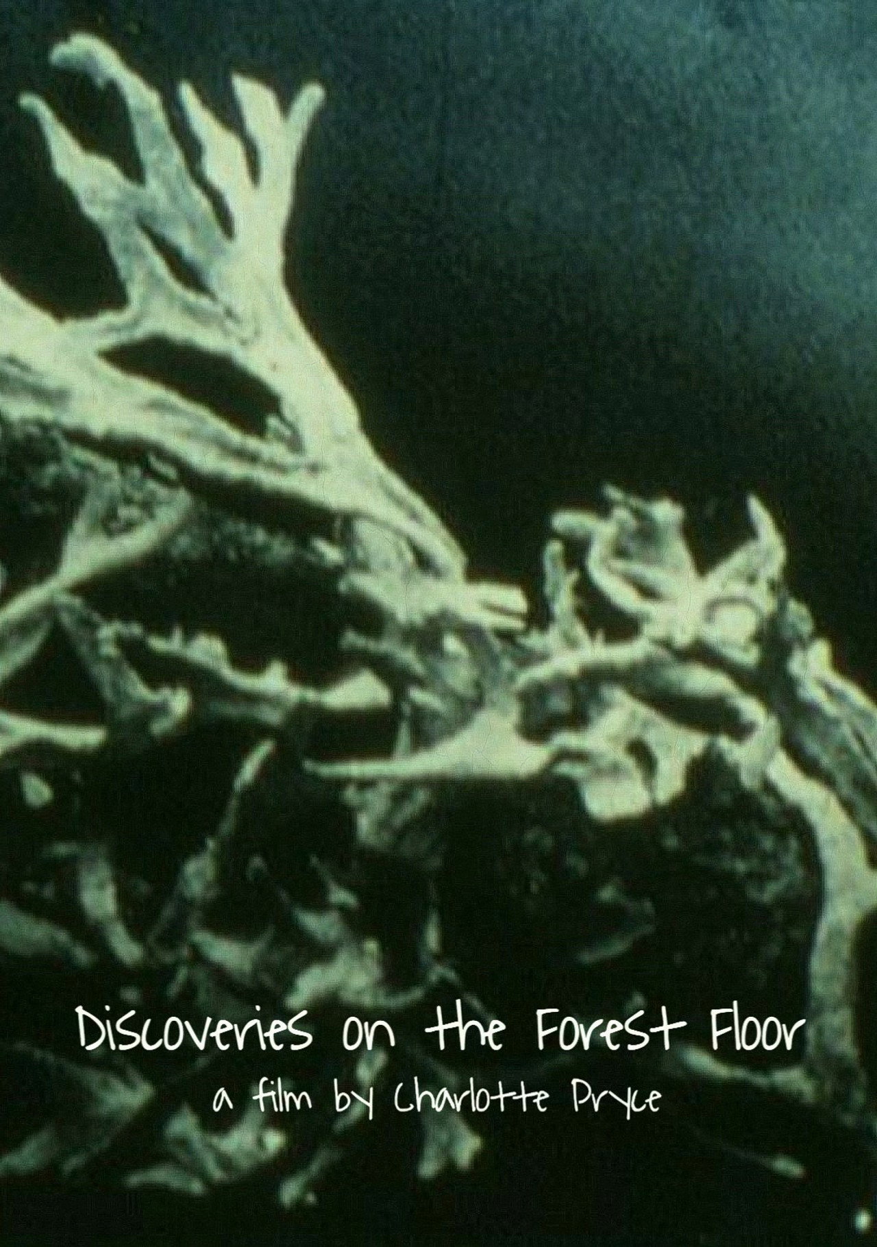 Discoveries on the Forest Floor 1-3 filmaffisch