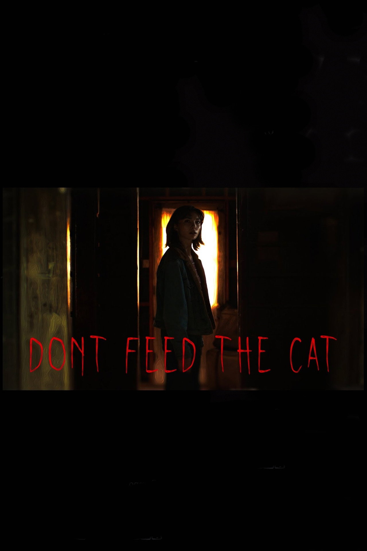 Don't Feed The Cat filmaffisch