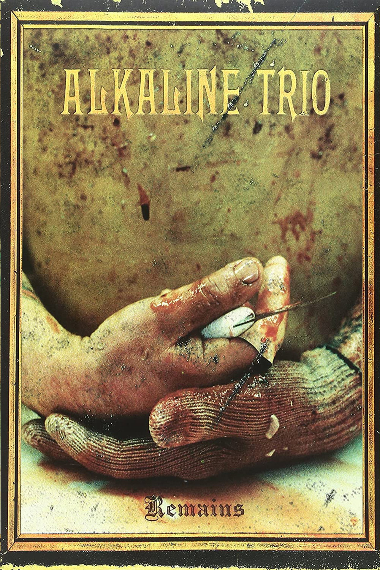 Alkaline Trio - The Remains of 2005/2006 filmaffisch