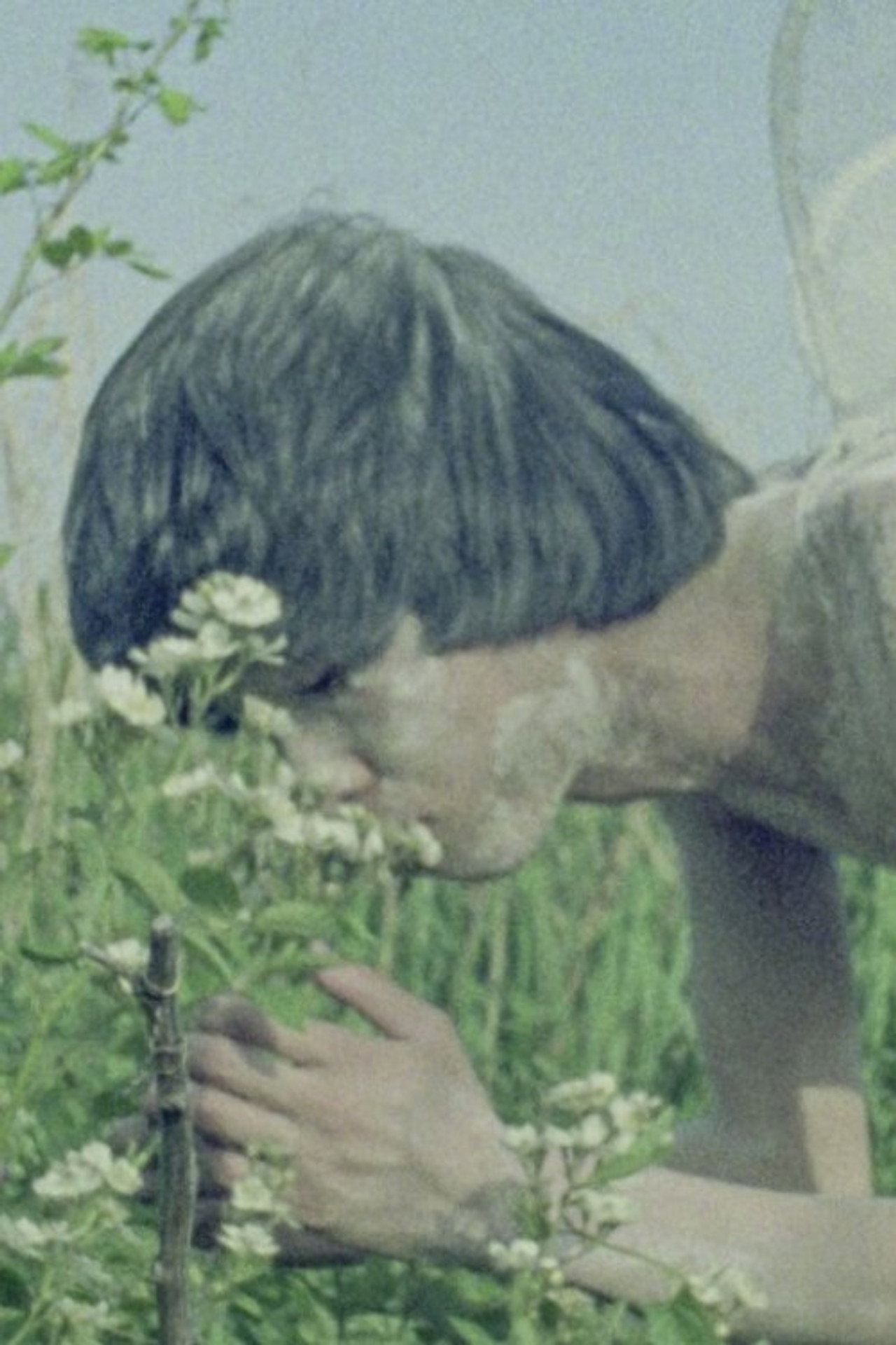 回想録 filmaffisch