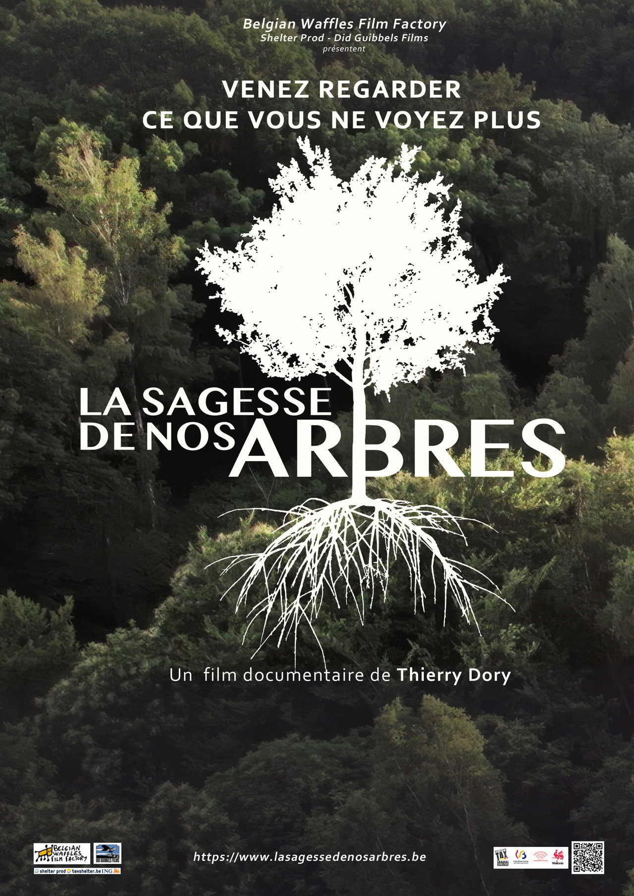 La sagesse de nos arbres