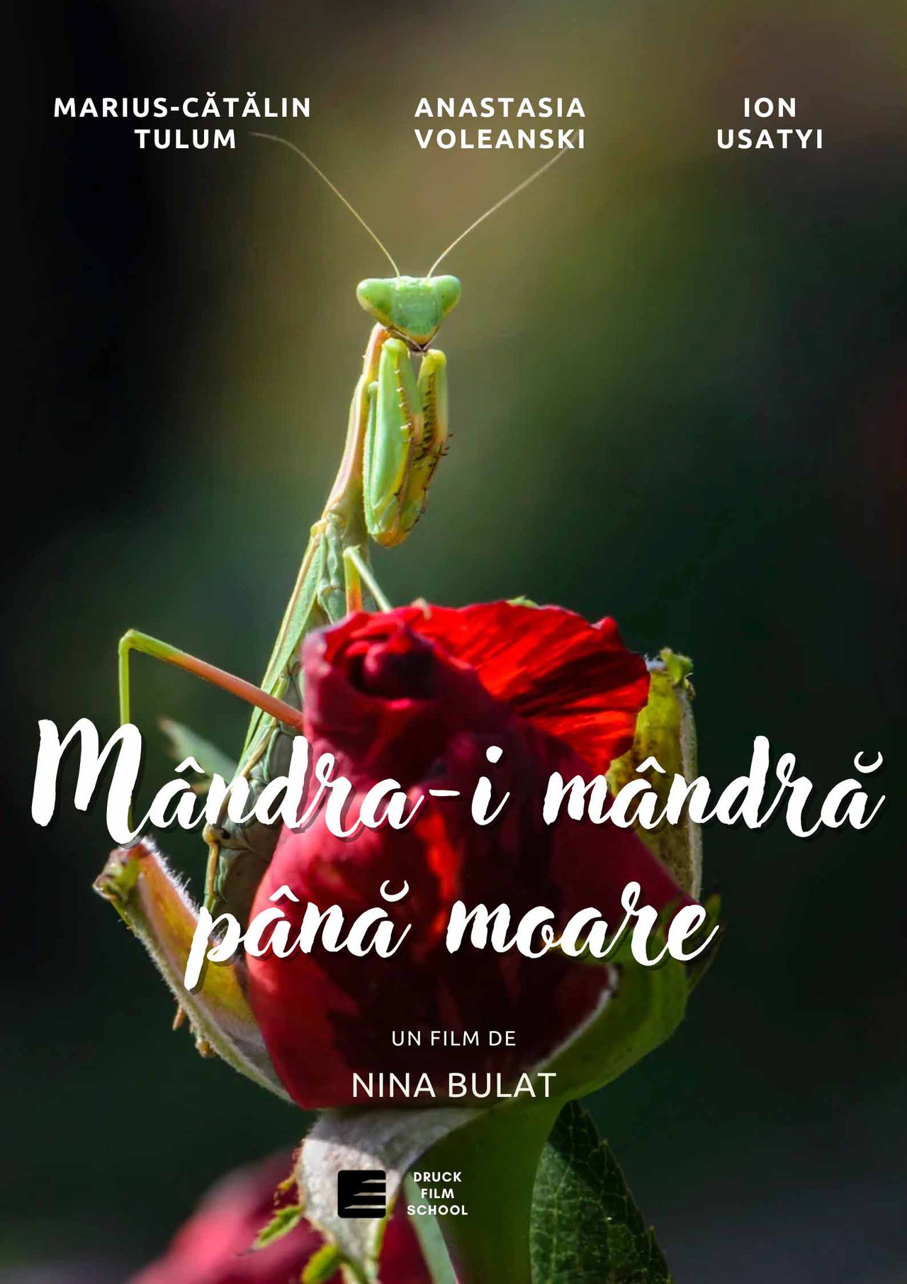 Mândră-i Mândra Până Moare Backdrop