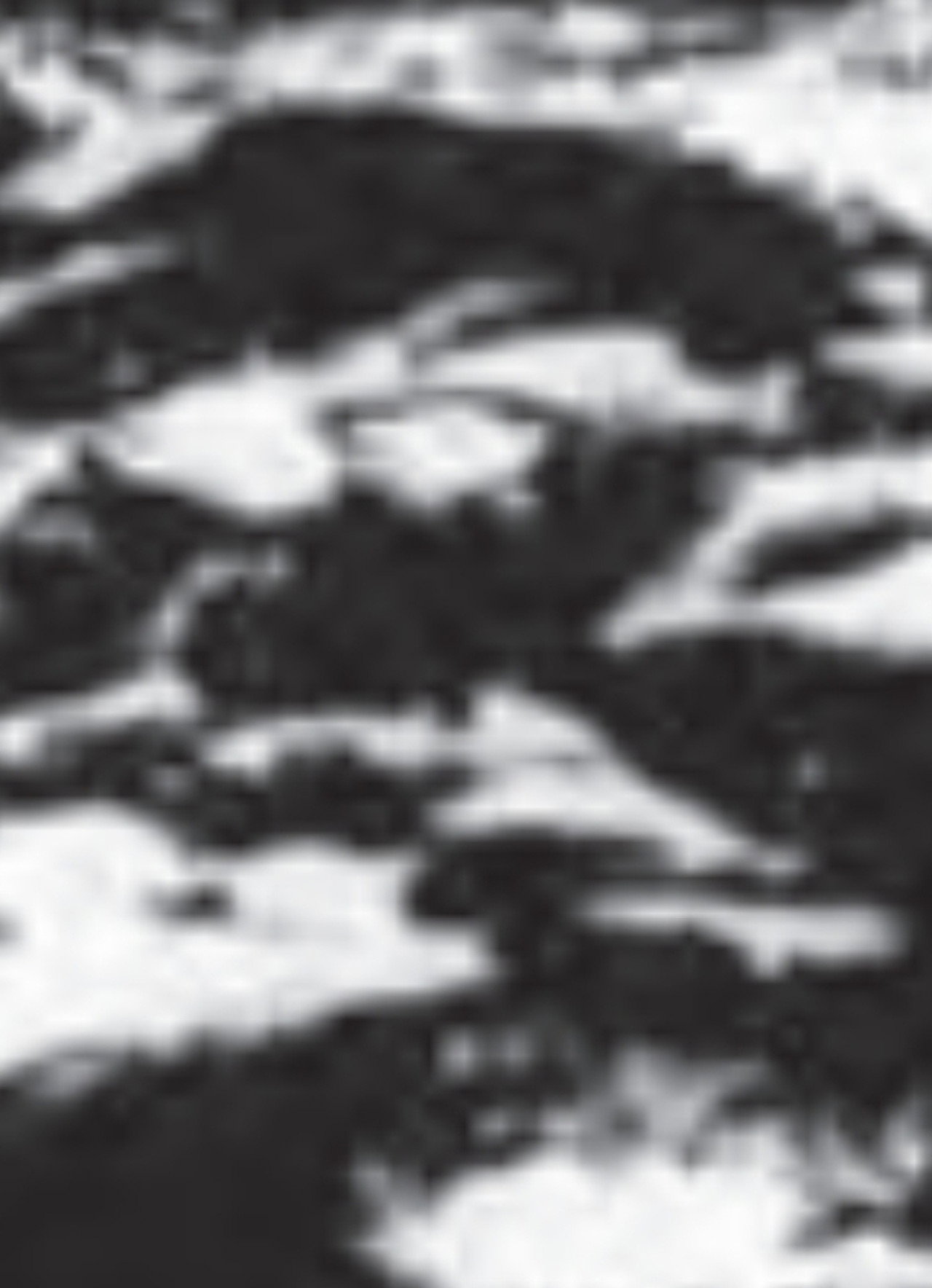 Burren