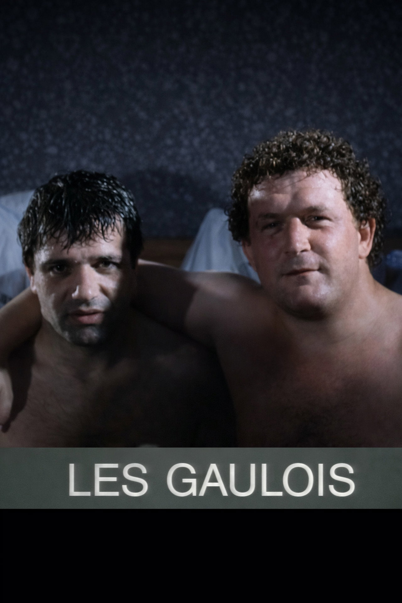 The Gauls