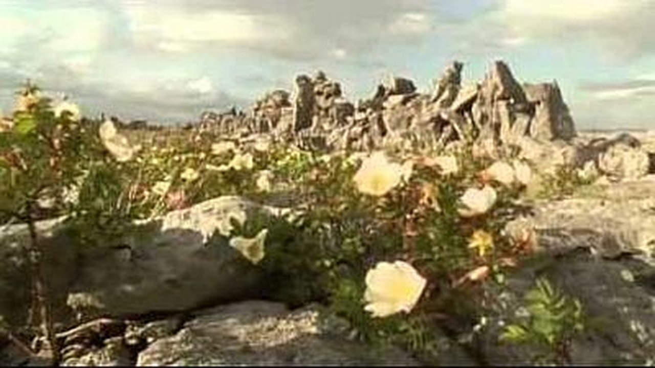 Natural World - Season 22 Episode 16 : Ireland: Sculpted Isle
