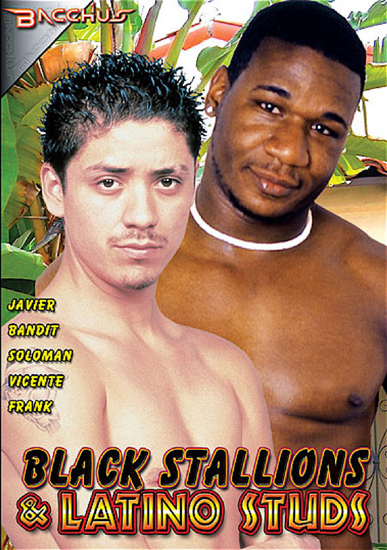 Black Stallions & Latino Studs filmaffisch