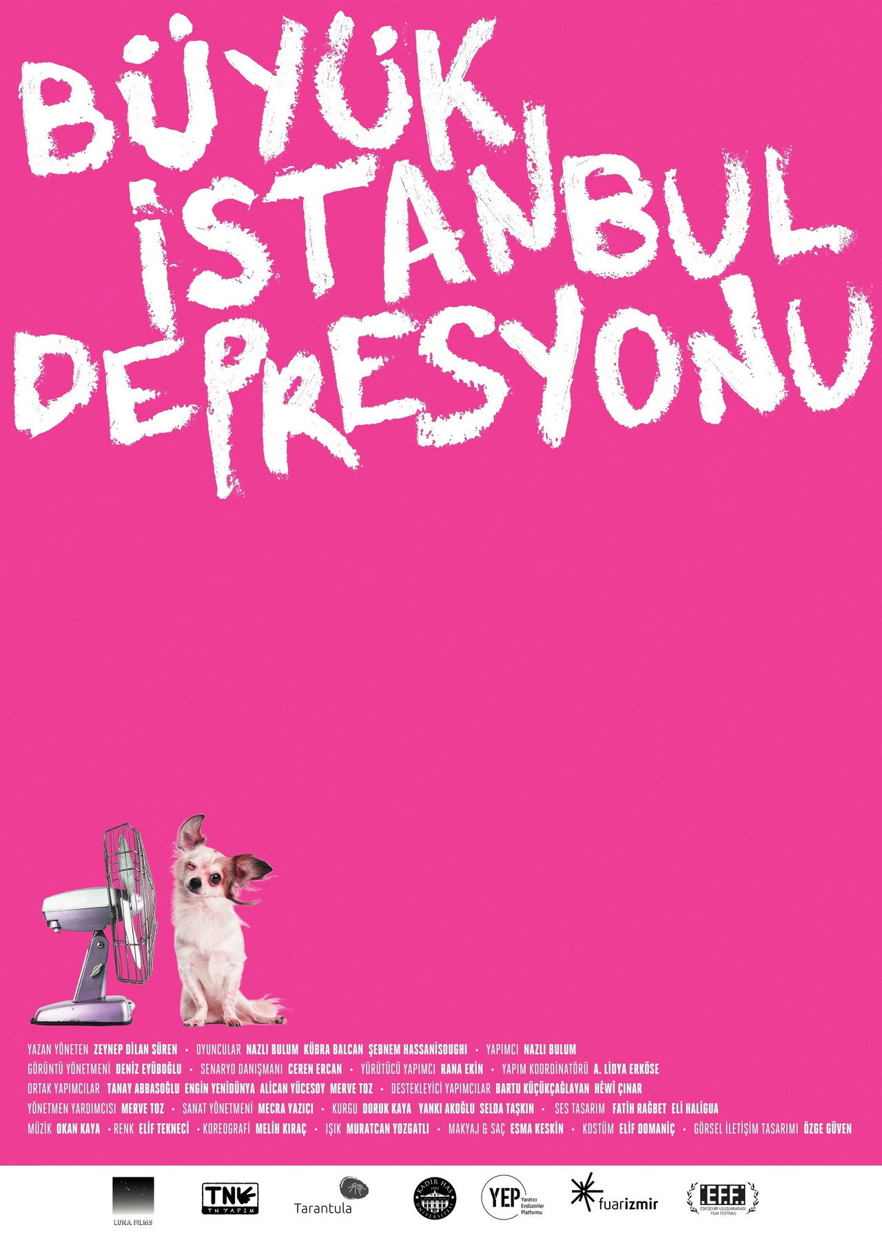 Büyük İstanbul Depresyonu filmaffisch
