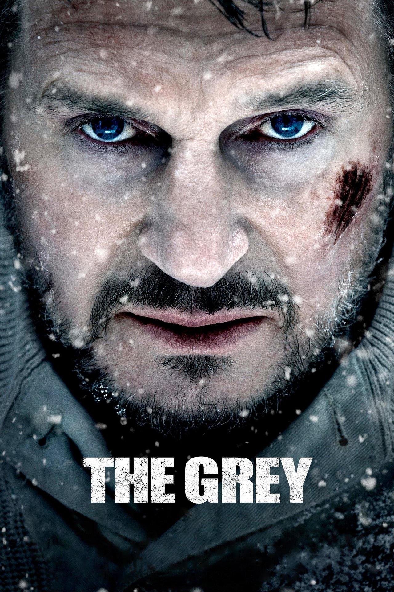 مشاهدة فيلم The Grey مترجم بدون اعلانات - بوستر