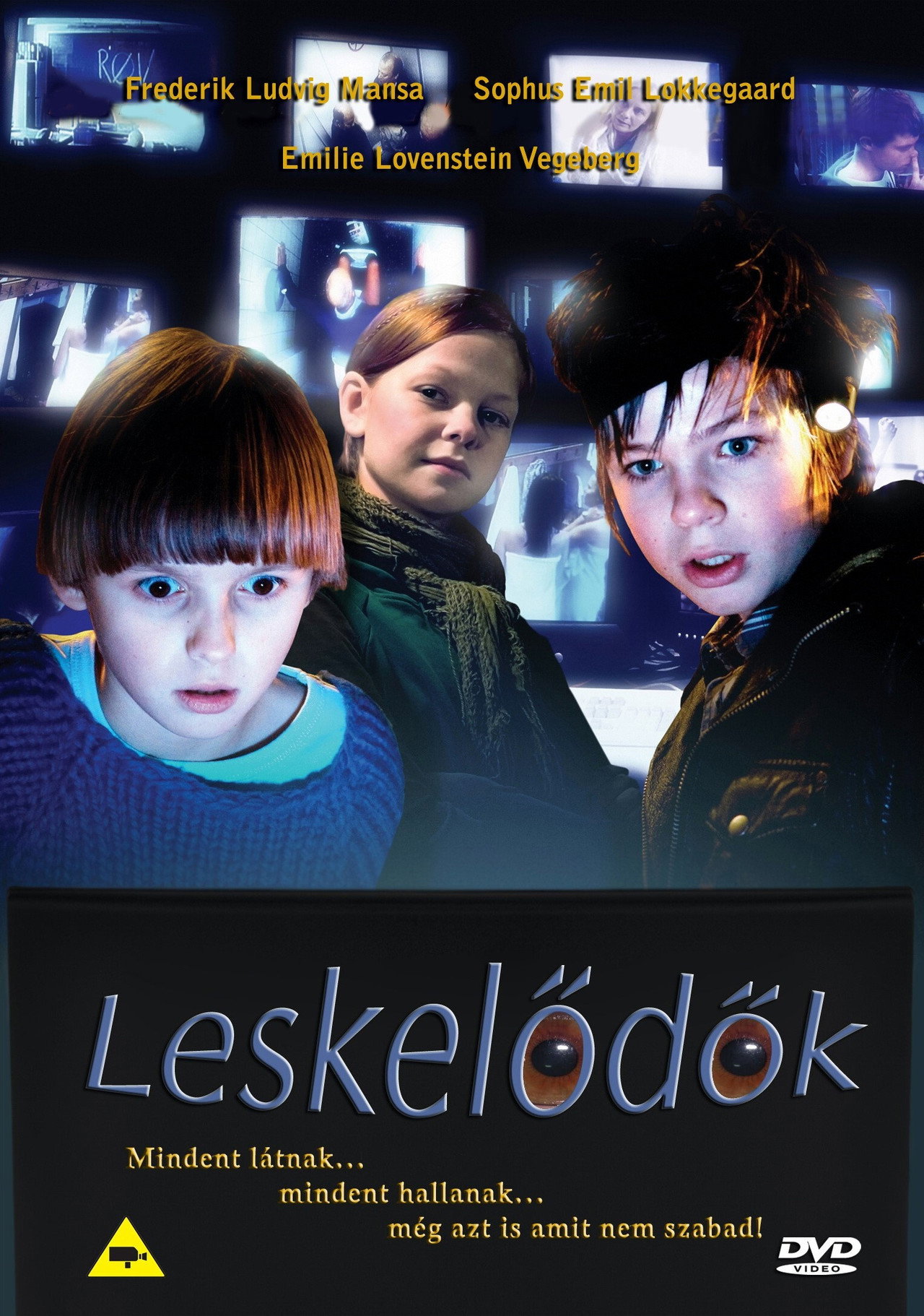 Leskelődők – plakát 2