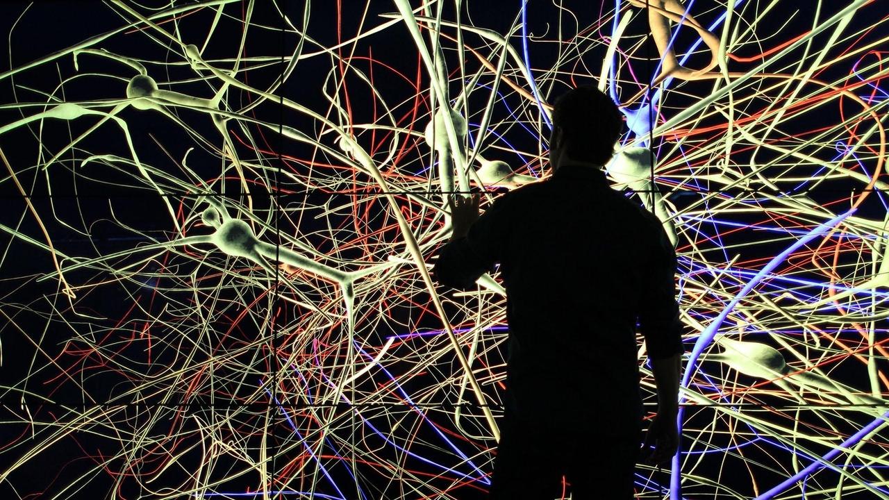 El cerebro con David Eagleman background