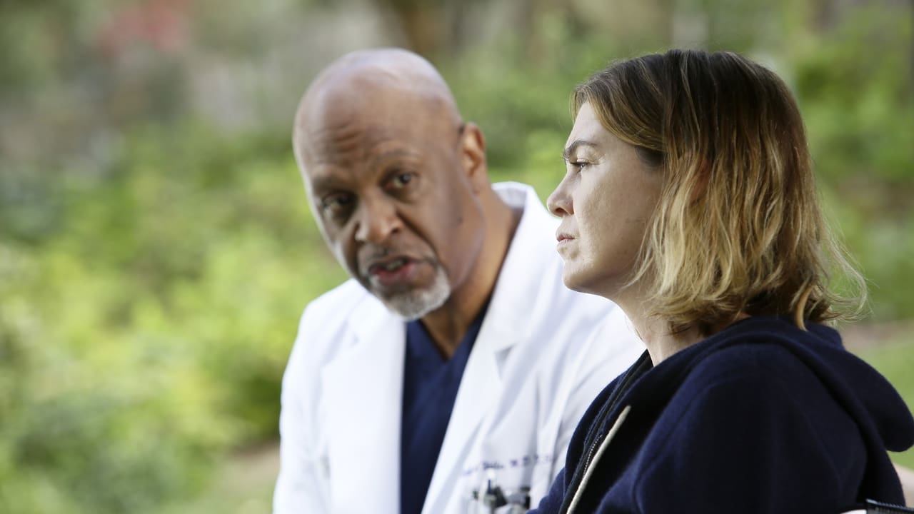 Grey's Anatomy - Season 12 Episode 9 : The Sound of Silence