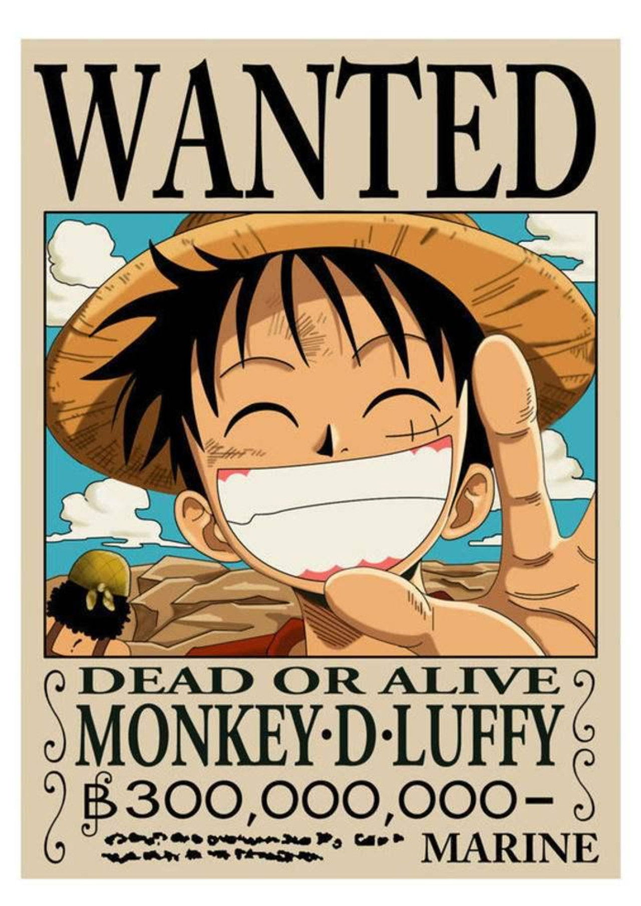 海贼王特别篇：路飞的绝技 Backdrop