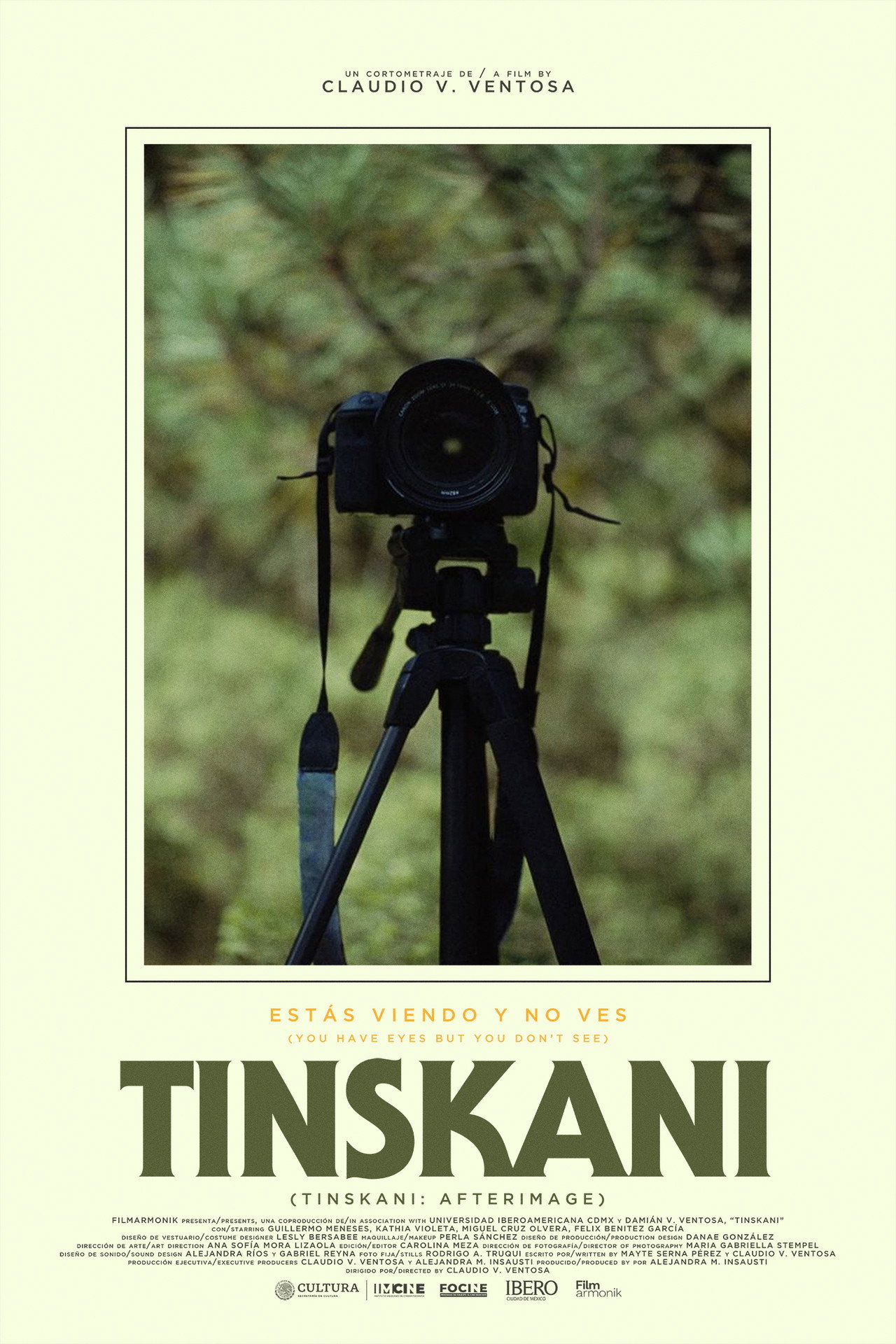 Tinskani: Afterimage poster