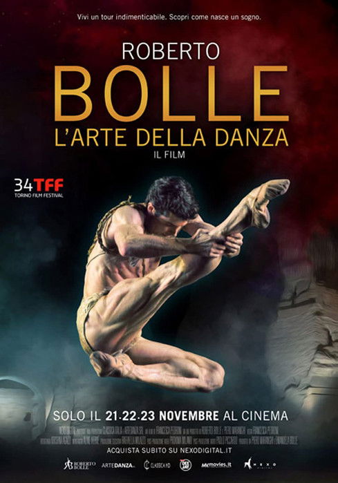 Roberto Bolle: The Art of the Dance poster