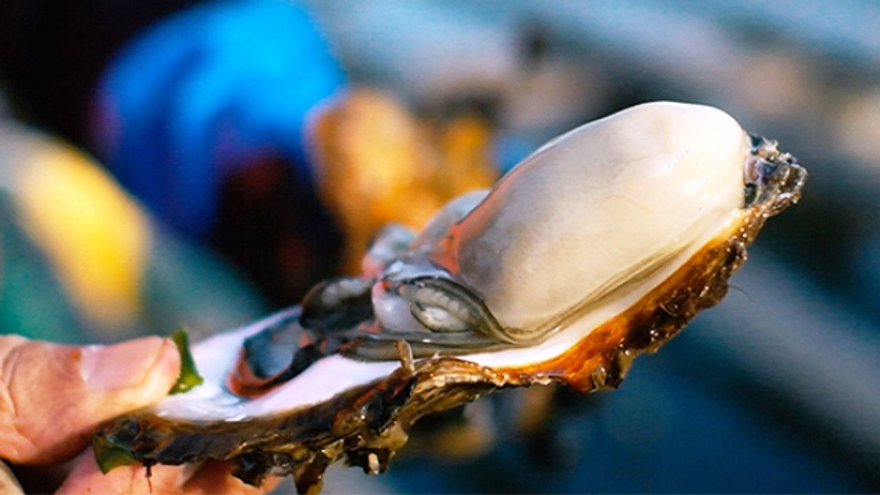 Itadakimasu ! Dining with the Chef — Épisode 22