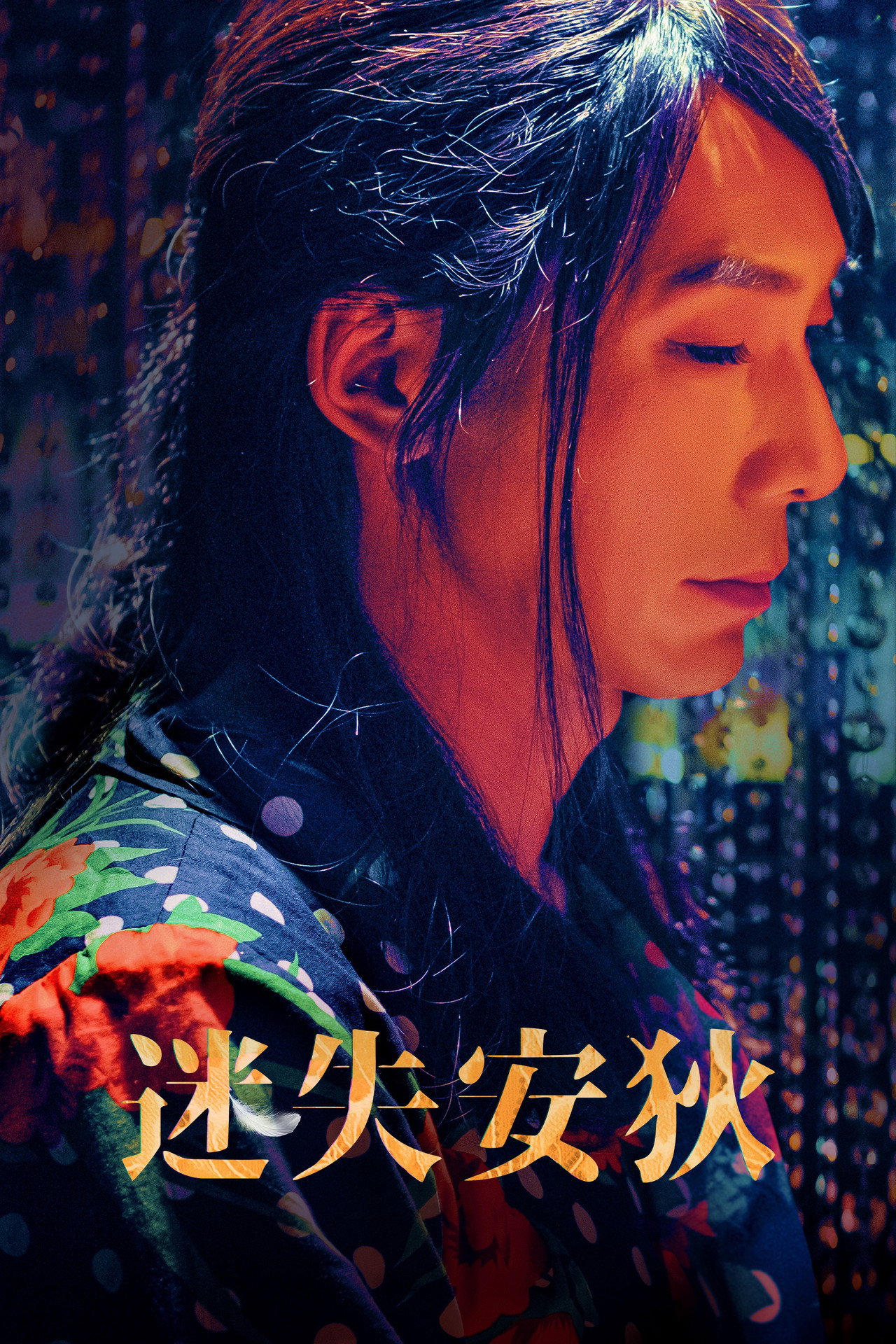 迷失安狄 filmaffisch
