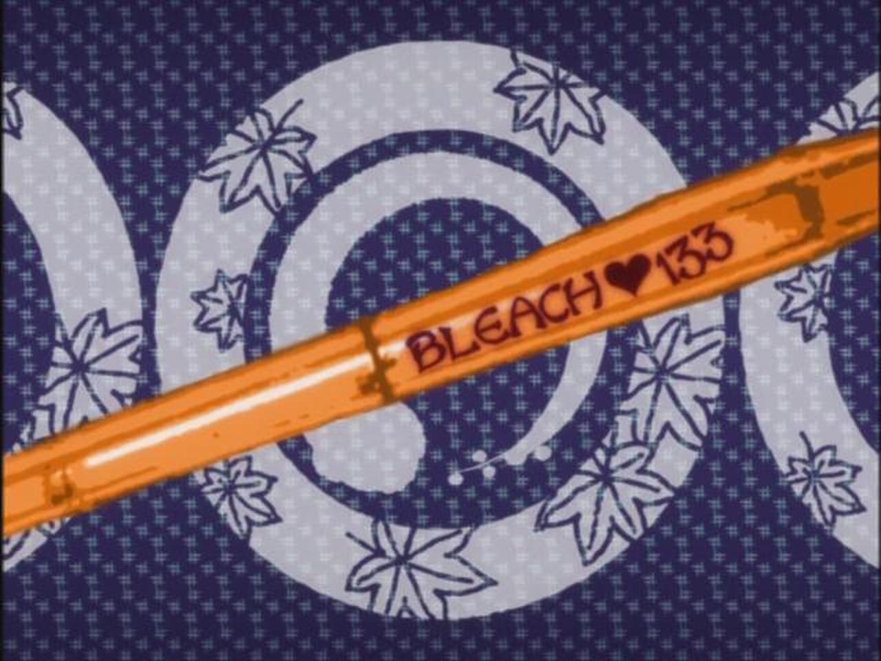 Bleach - Season 1 Episode 133 : Ikkaku: The Hot-Blooded Kendo Tale