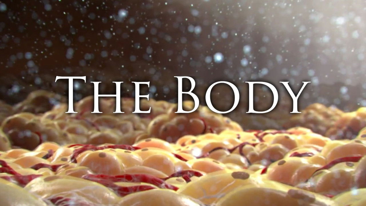 Keys to Overcoming Modern Day Diseases