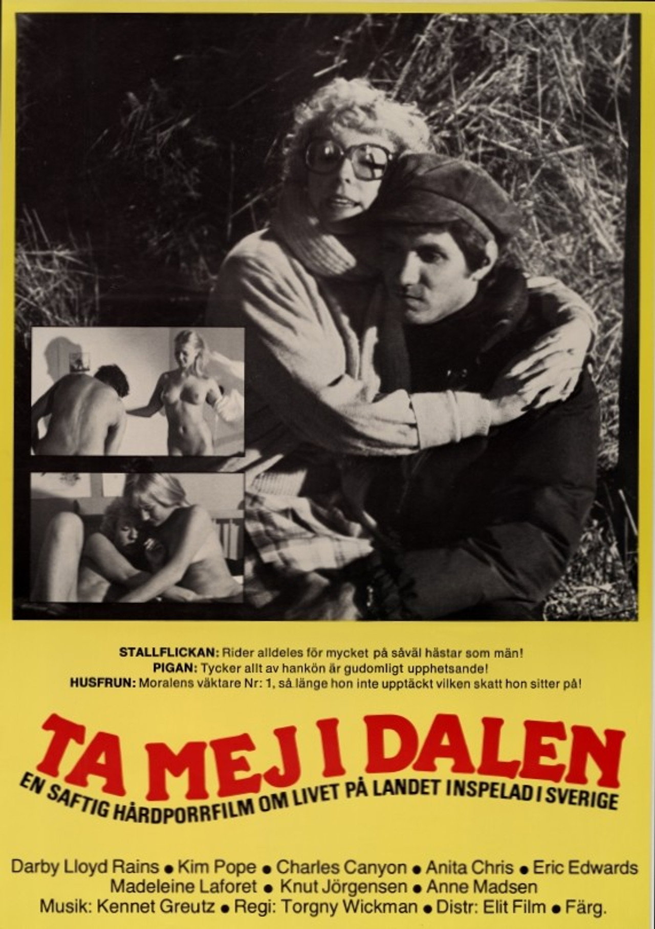 Ta mej i dalen filmaffisch
