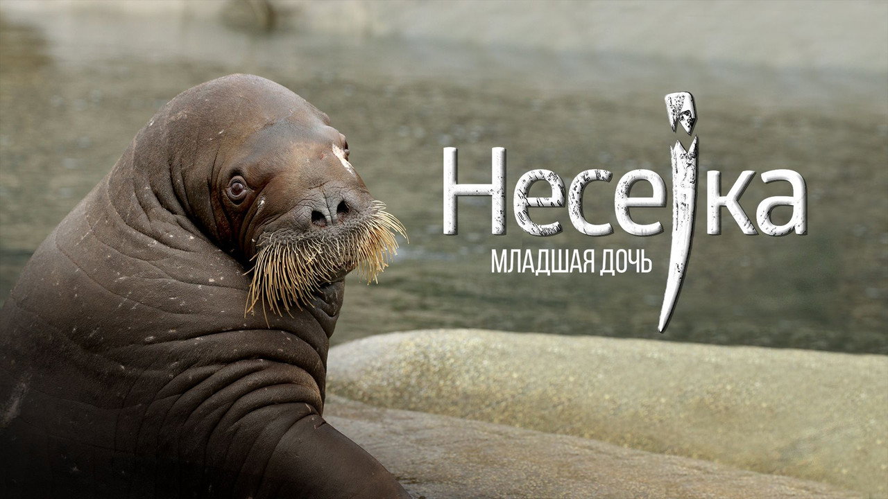 Несейка. Младшая дочь - 剧照
