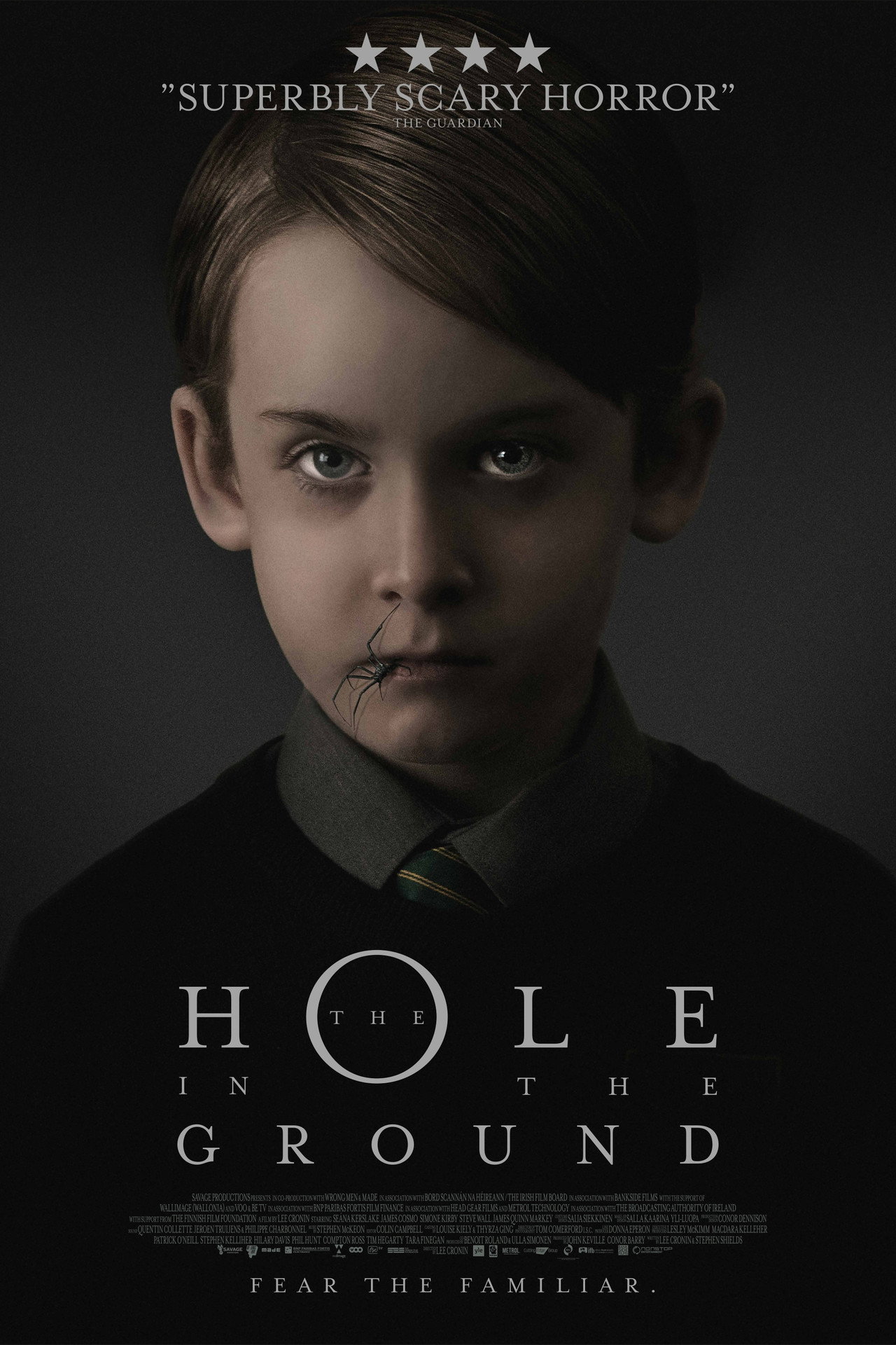 The Hole in the Ground filmaffisch