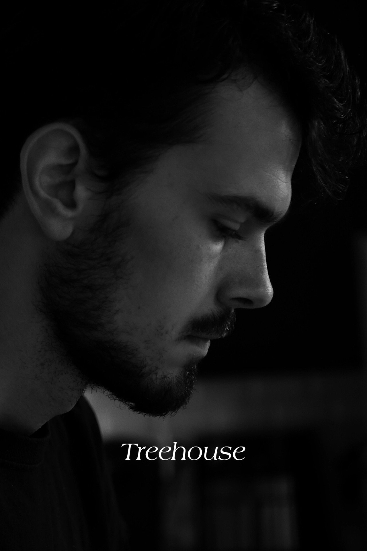 Treehouse filmaffisch