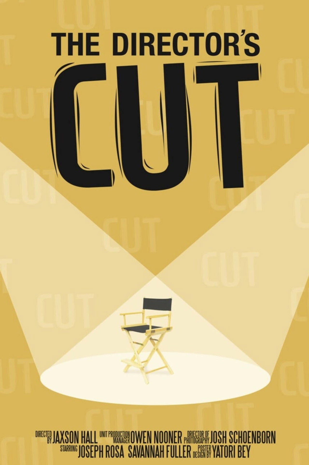 The Director’s Cut filmaffisch