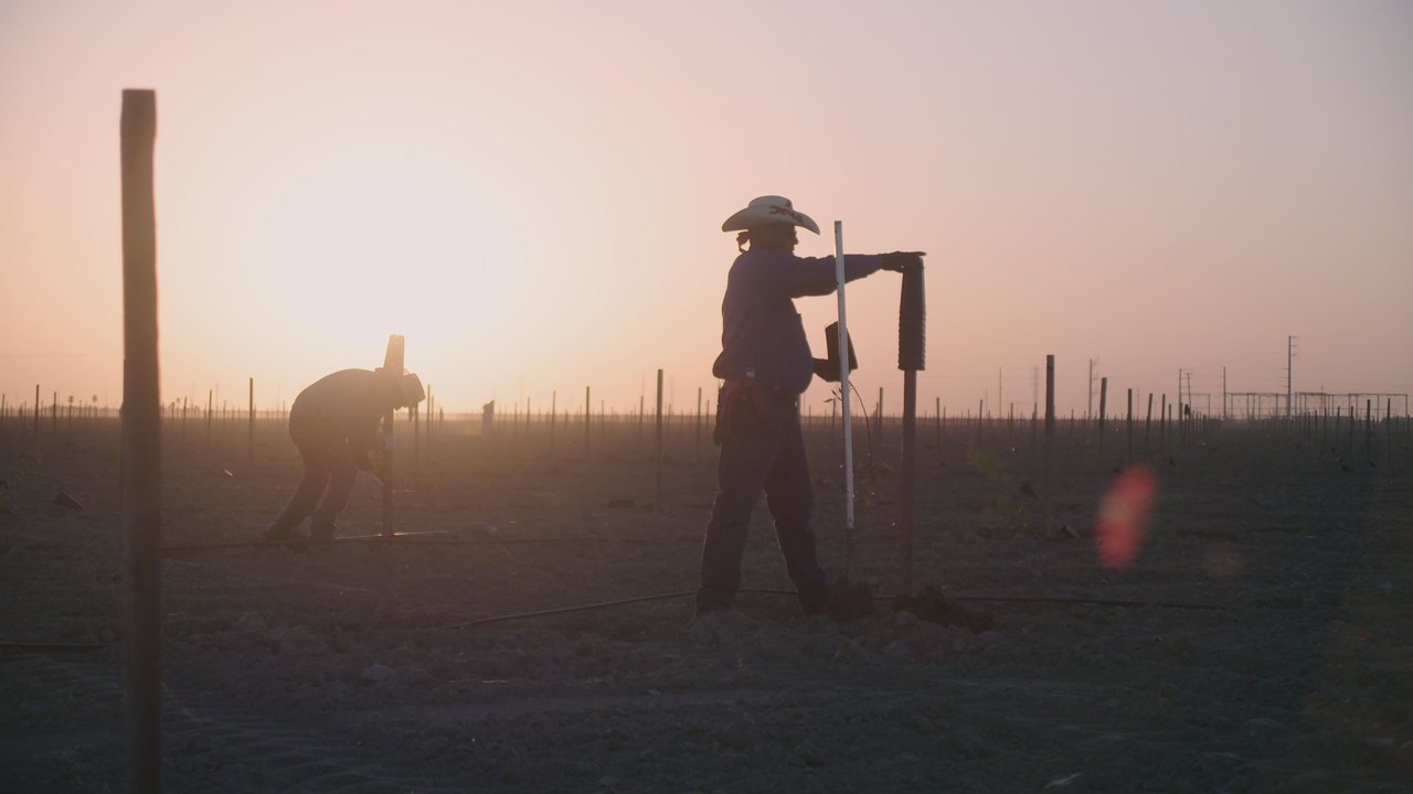 Oaxacalifornia: The Return