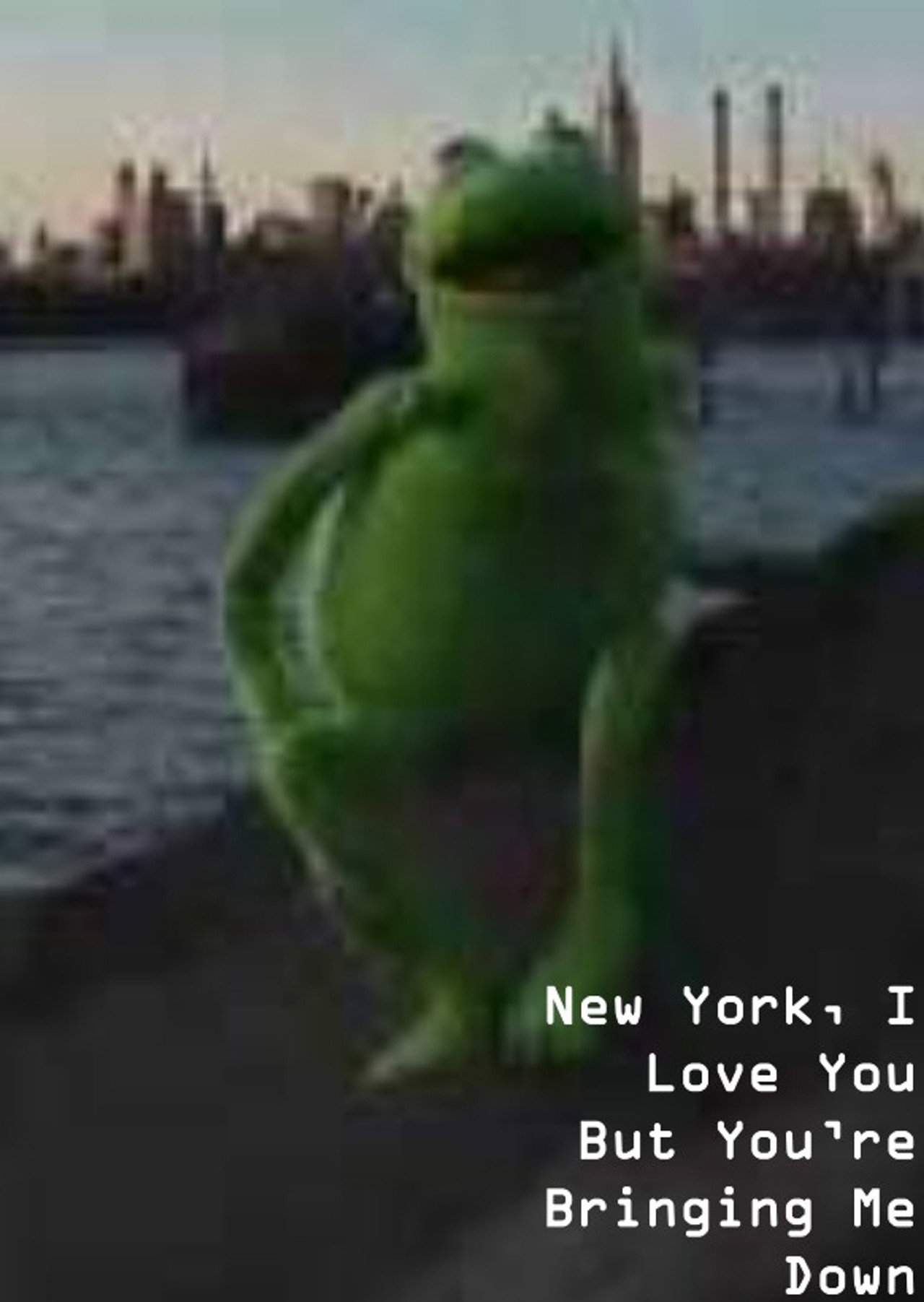 New York, I Love You But You're Bringing Me Down Backdrop