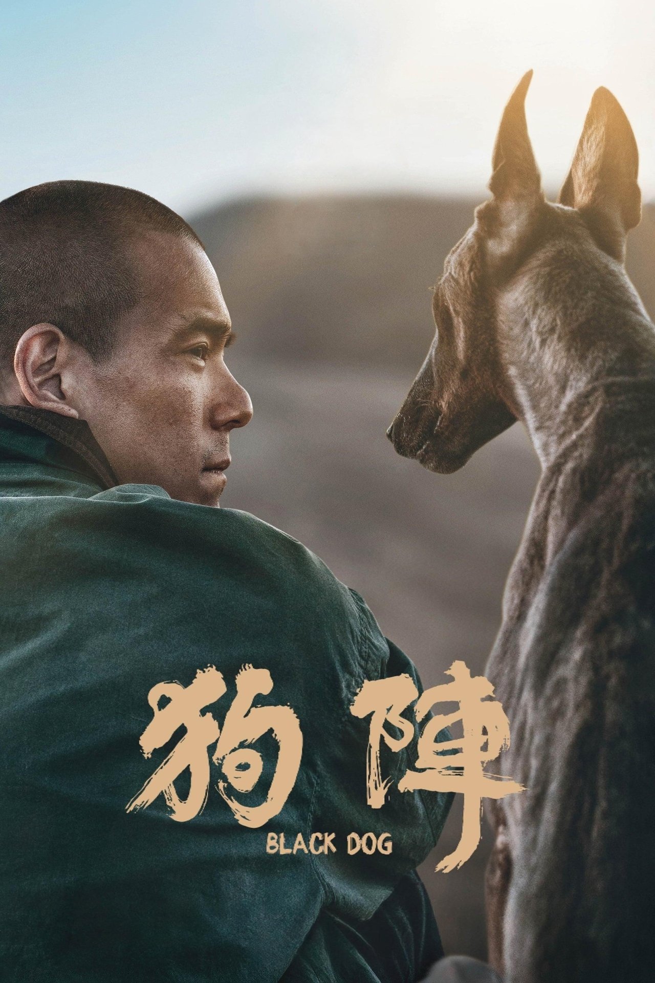 مشاهدة فيلم Black Dog مترجم بدون اعلانات - بوستر