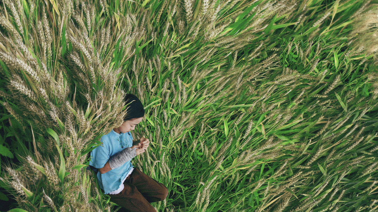 你的眼睛比太阳明亮