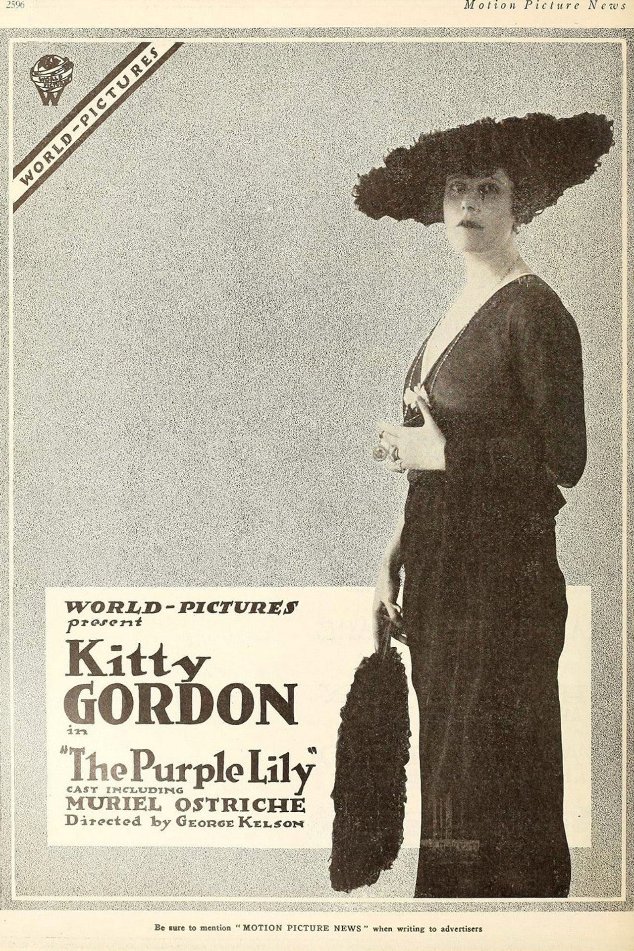 The Purple Lily