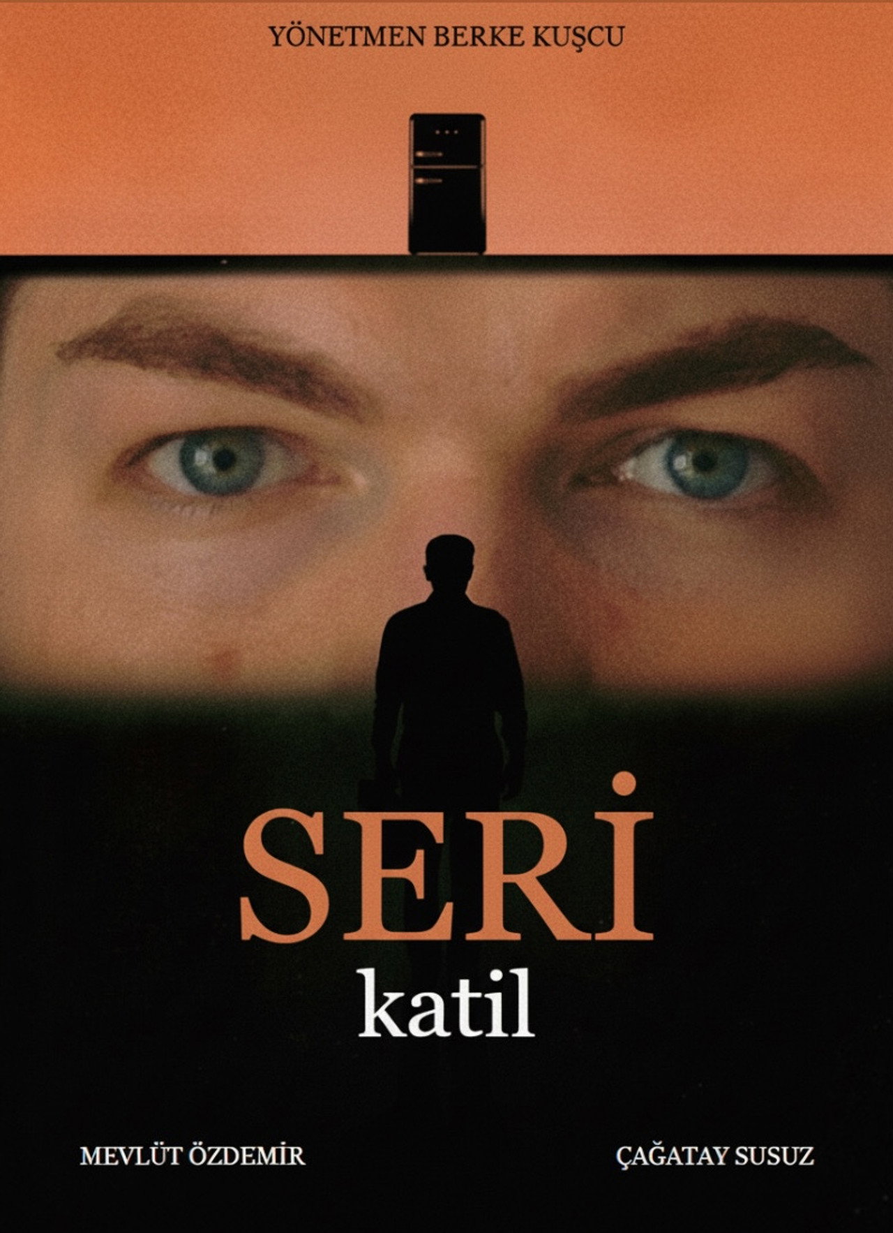 SERİ katil poster