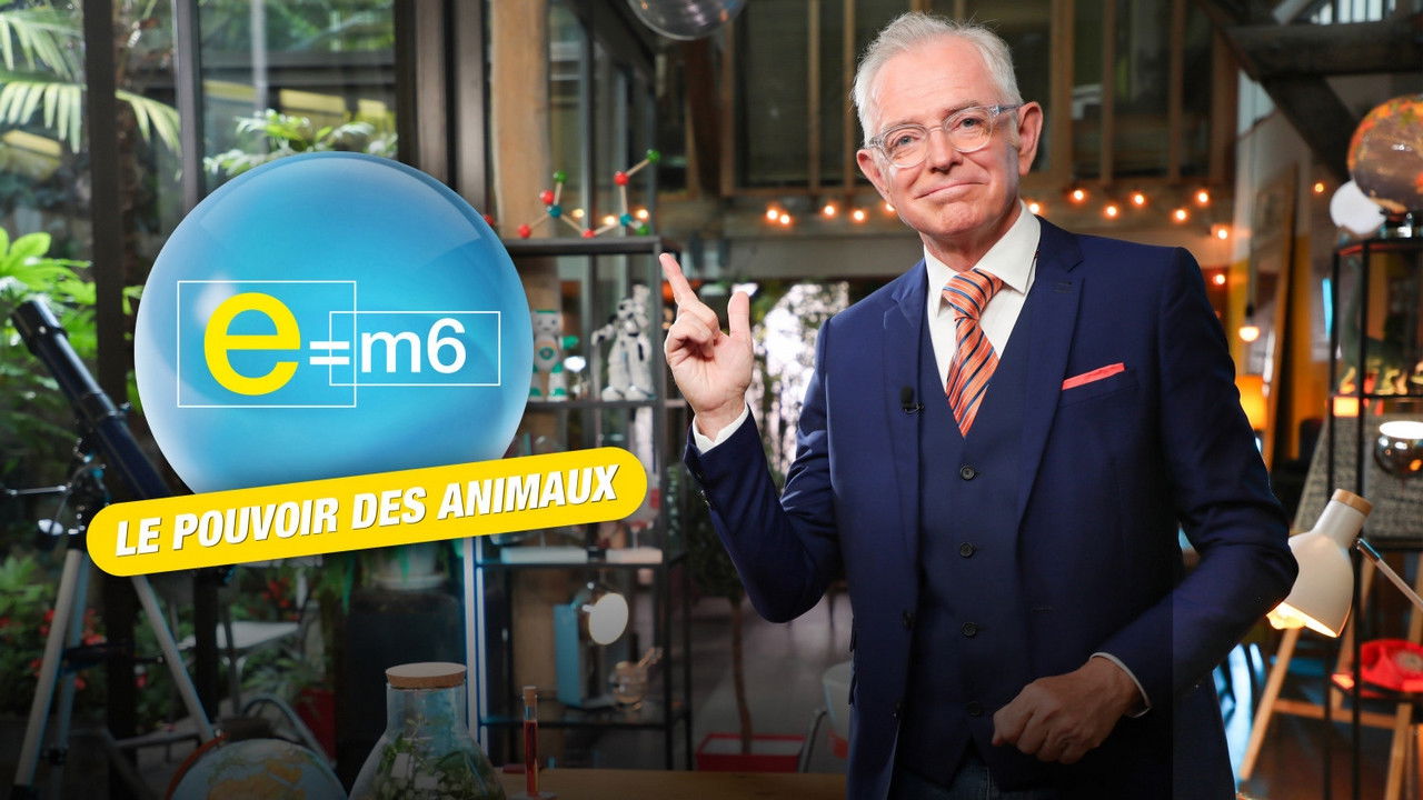 E=M6 — Toiles d'araignées, odorat des chiens : ces animaux surpassent les humains !