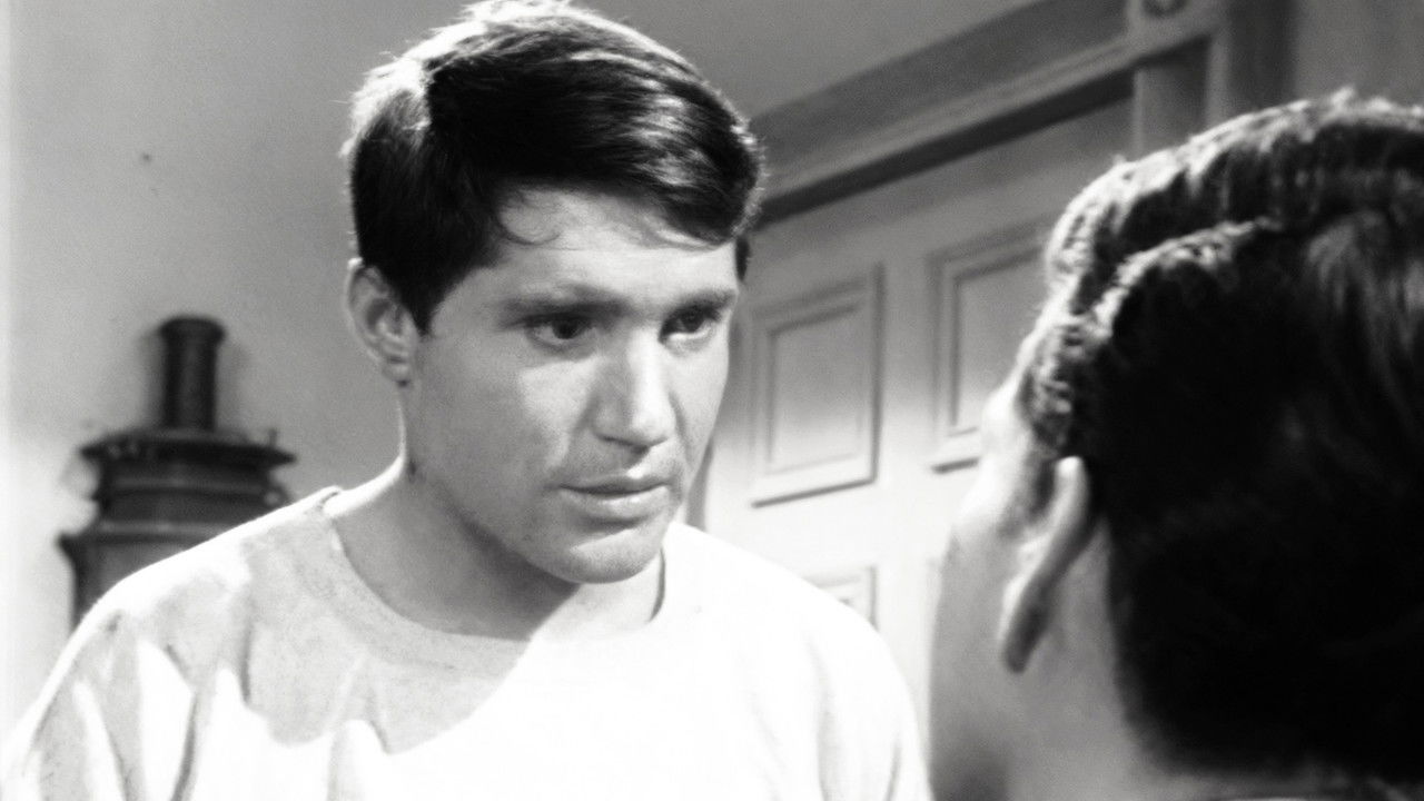 Peyton Place — Épisode 80