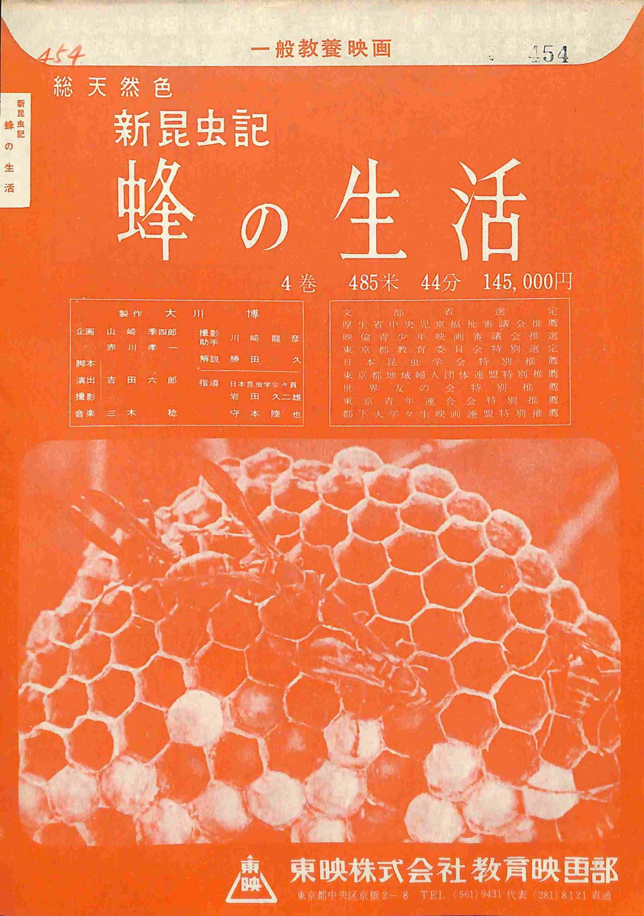 新昆虫記―蜂の生活
