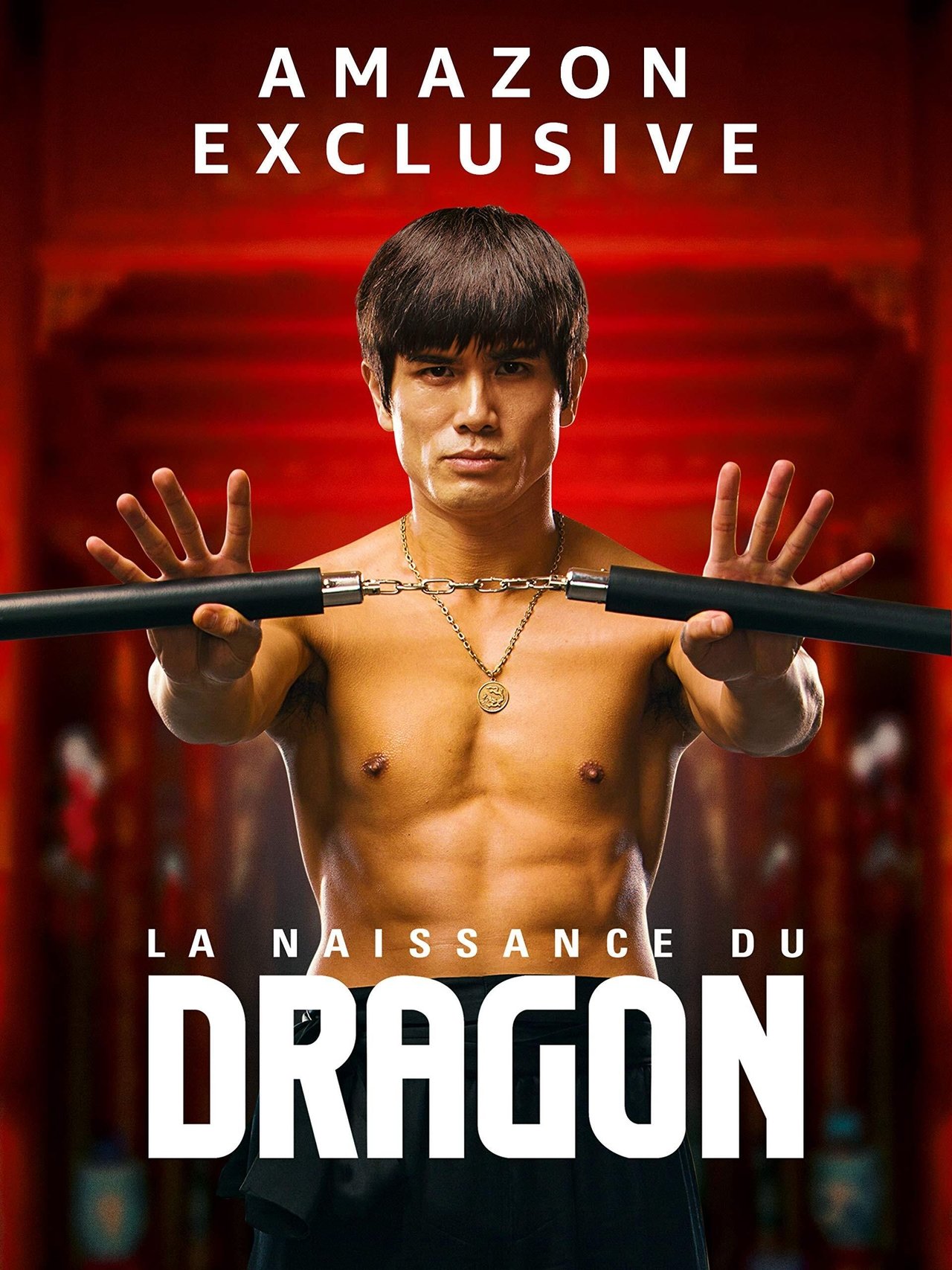 La Naissance du Dragon poster