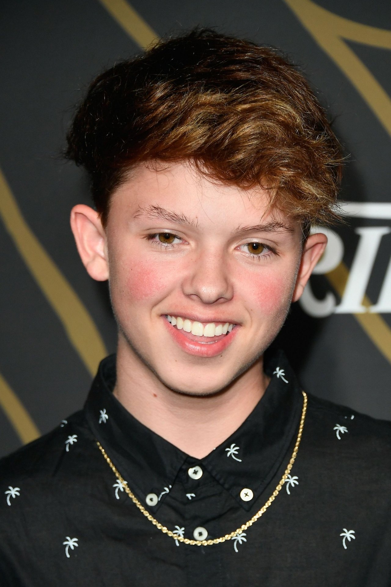 Jacob Sartorius, ფილმები, სერიალები, ფილმოგრაფია, ბიოგრაფია GE.MOVIE