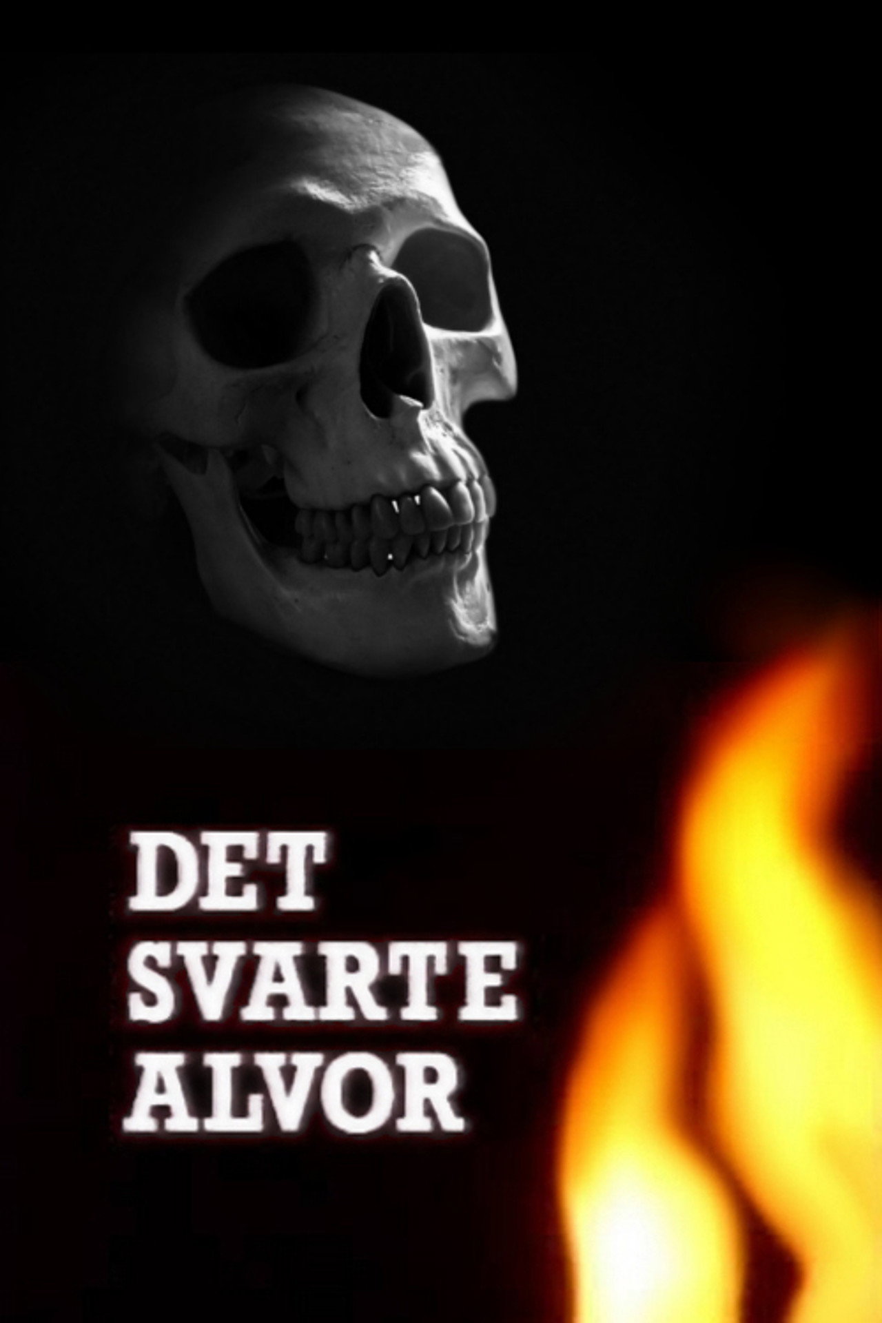 Det svarte alvor filmaffisch