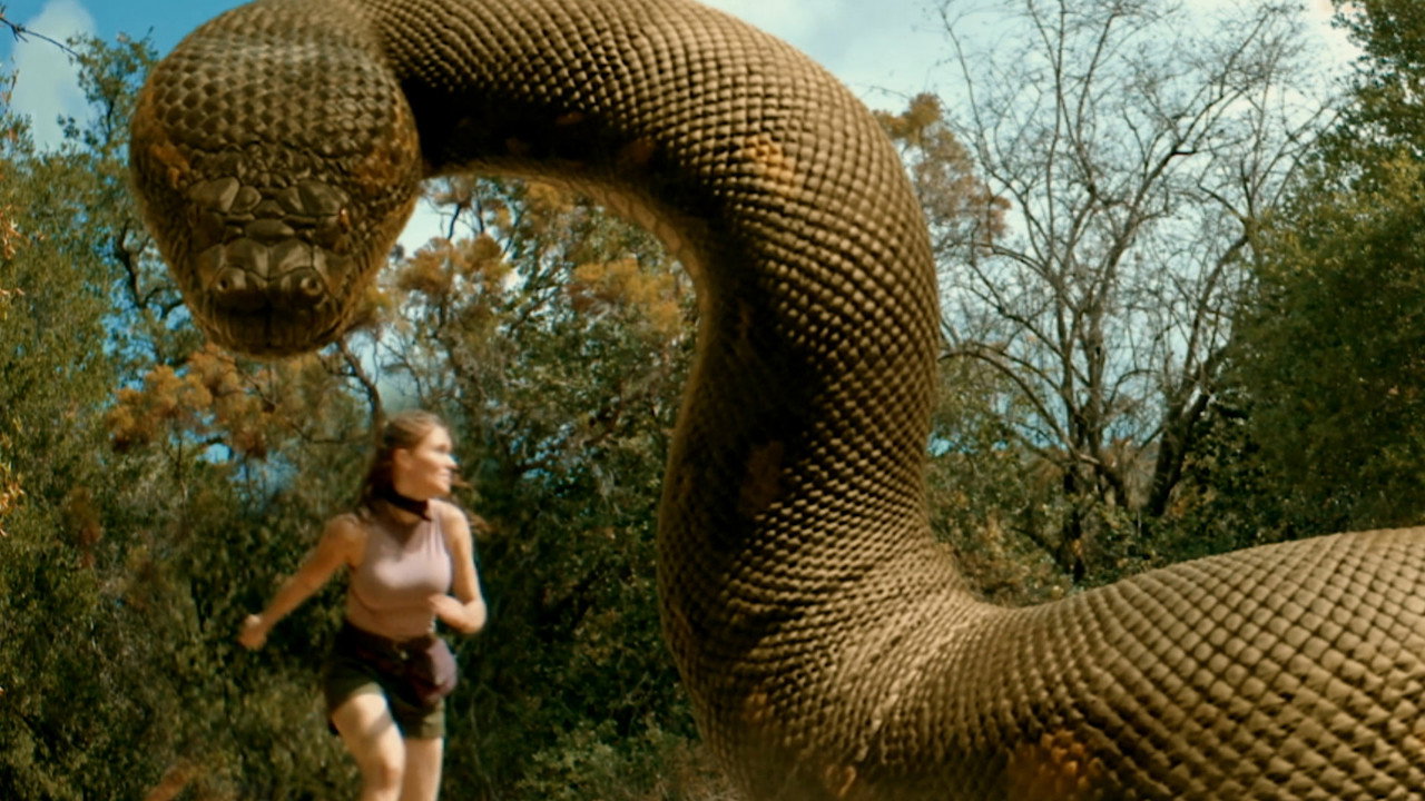 The Anacondas backdrop