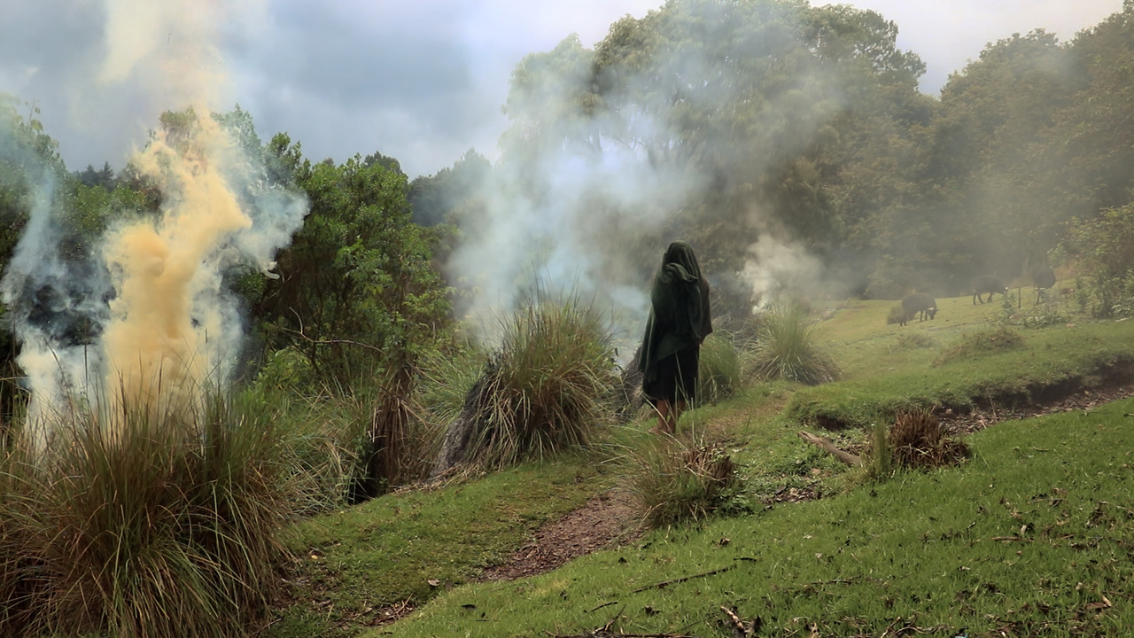 Immagine di copertina del trailer di Vientre de luna