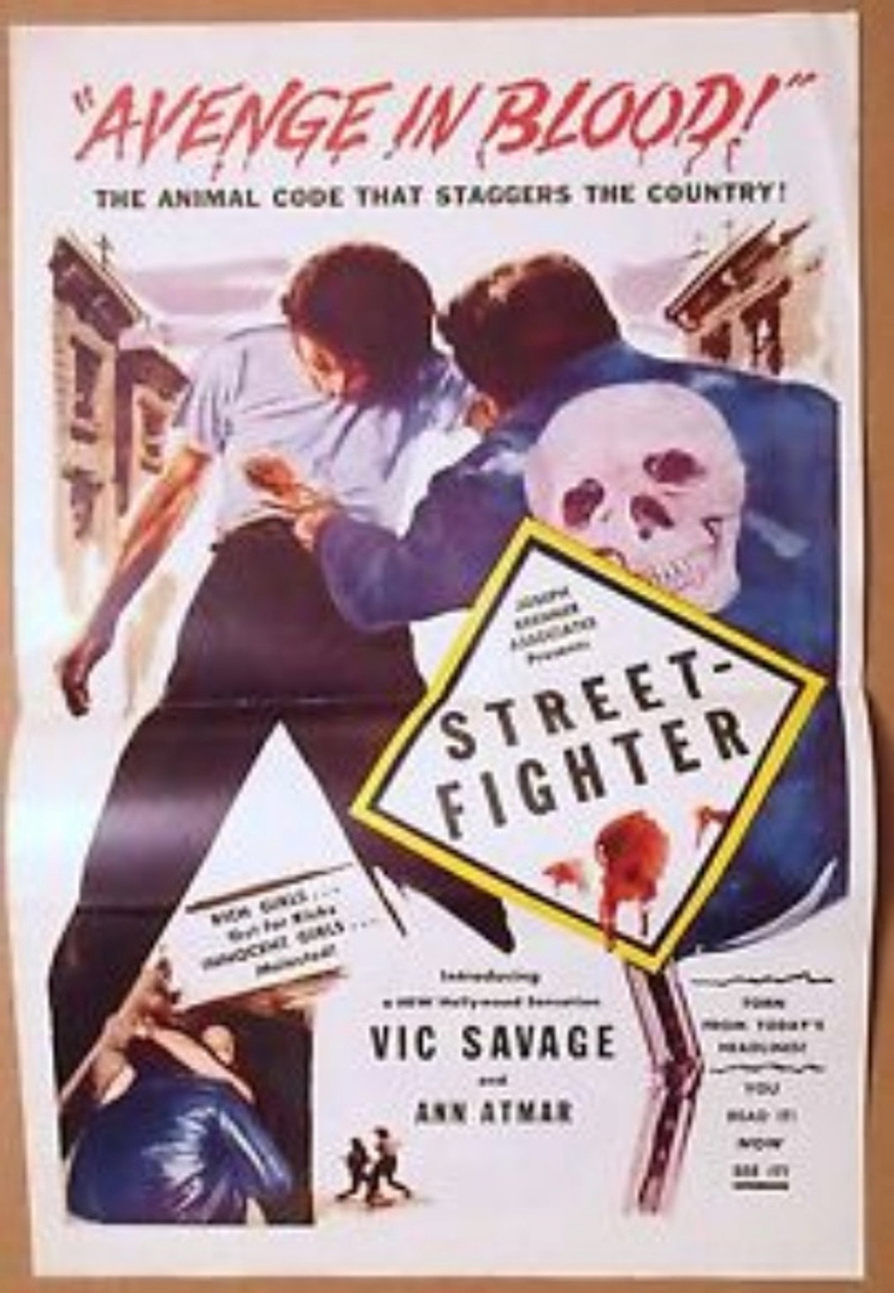 Street Fighter filmaffisch