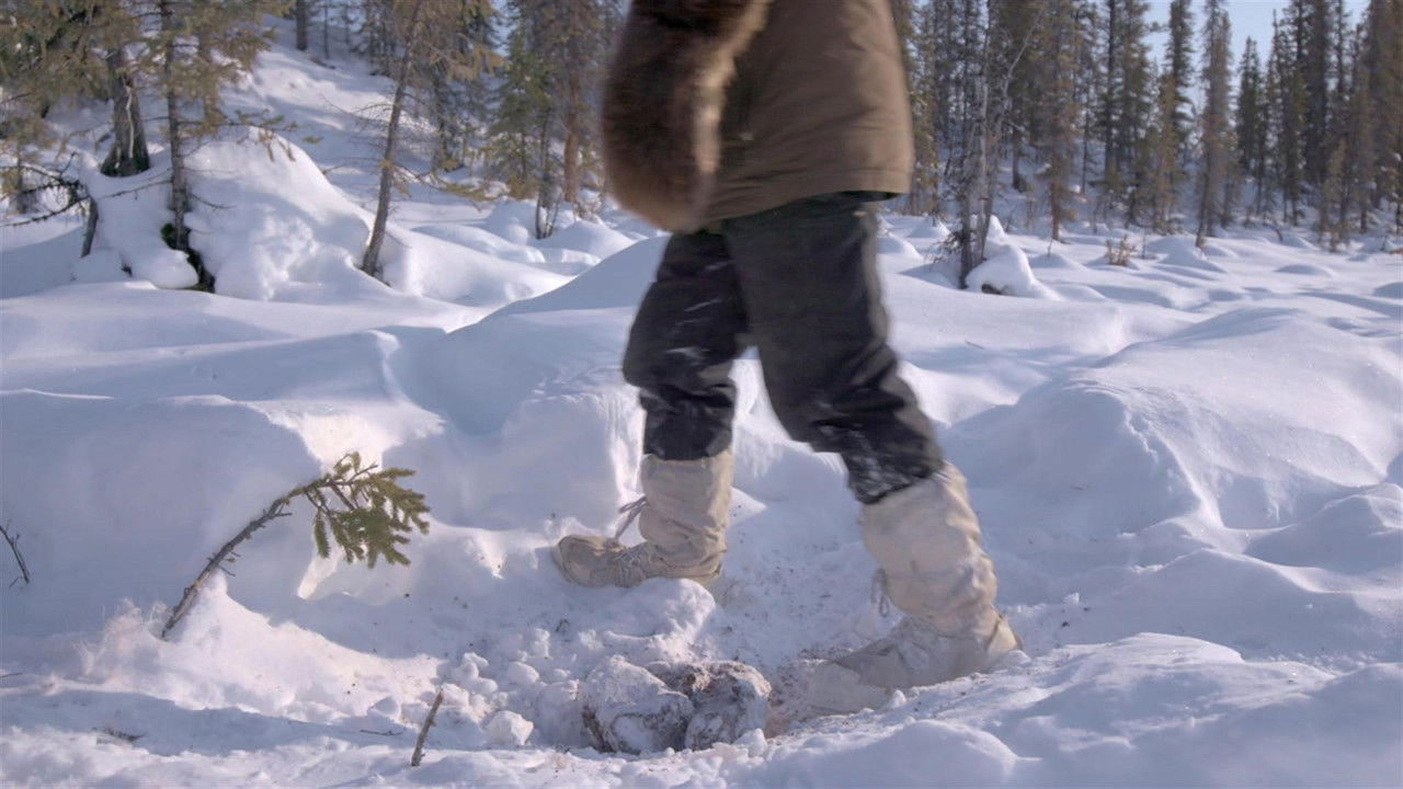 Life Below Zero: Next Generation — Épisode 10