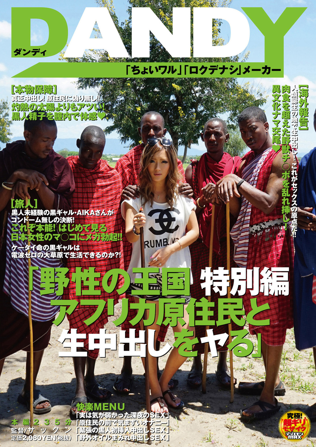 AVOP-062 野性の王国 特別編 アフリカ原住民と生中出しをヤる AIKA filmaffisch