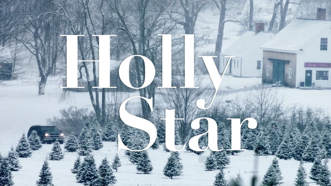 Holly Star background