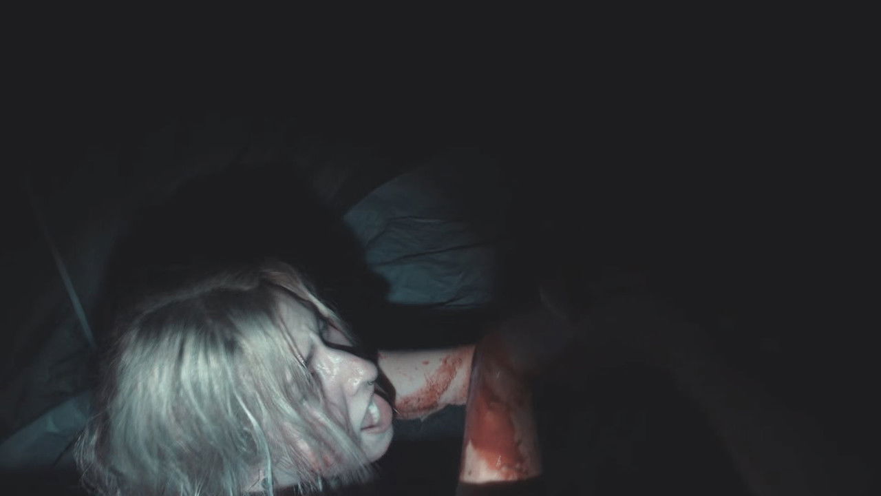 Shadows of Bigfoot backdrop