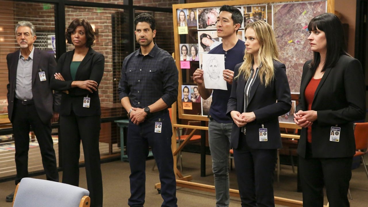 Criminal Minds - Season 13 Episode 21 : Mixed Signals