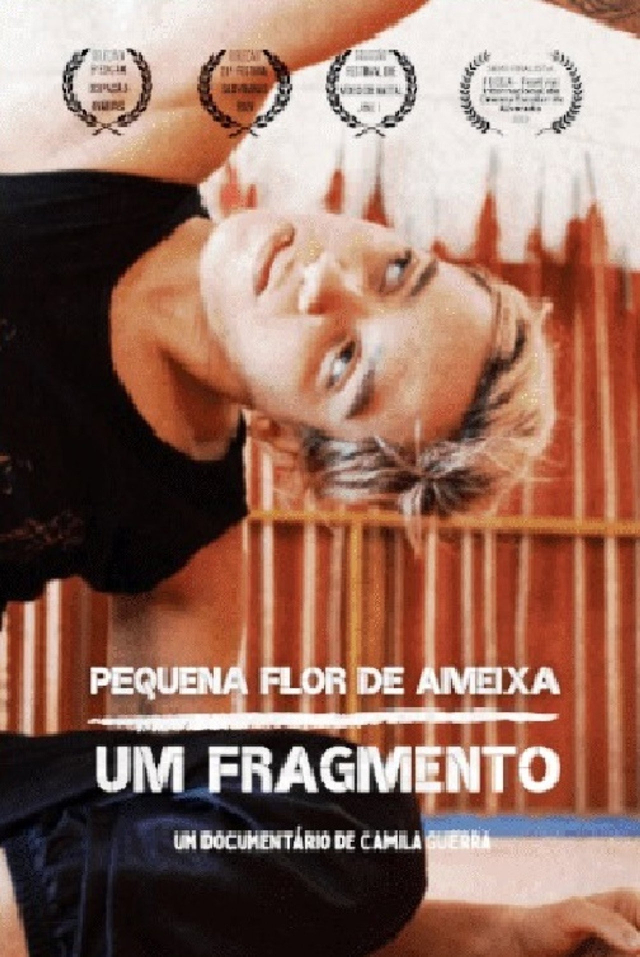 Pequena flor de ameixa: um fragmento filmaffisch