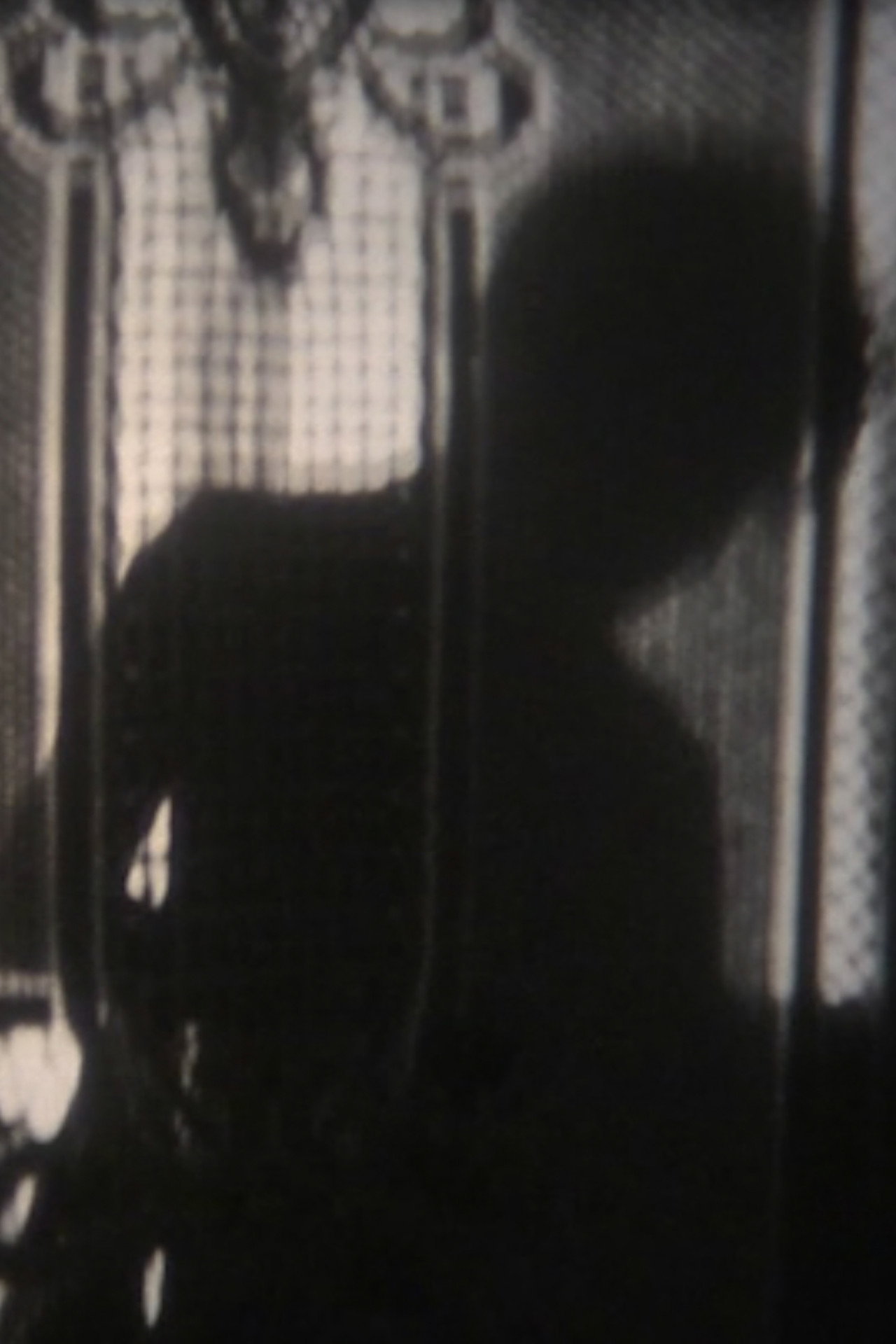 Marie from the Sea Backdrop